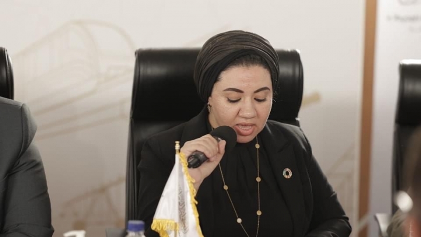 النائبة أميرة صابر عضو مجلس النواب عن تنسيقية شباب الأحزاب