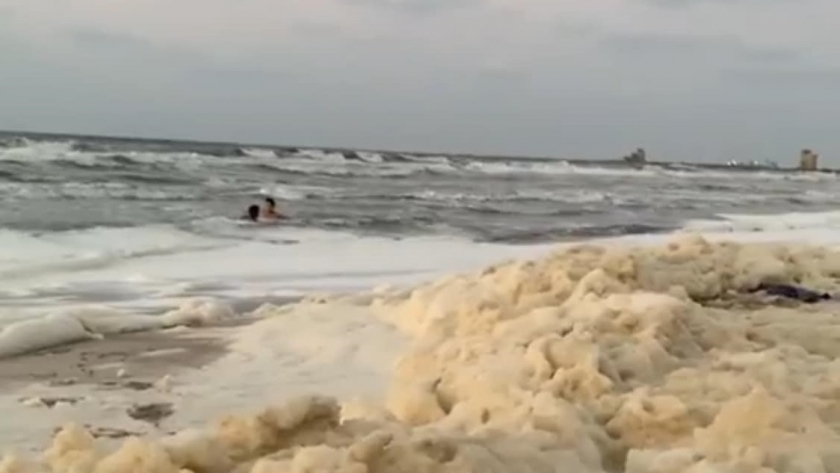 ظهور زبد البحر على شواطئ بورسعيد