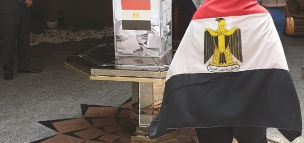 إدلاء المصريين في الخارج بأصواتهم في الاستفتاء على التعديلات الدستورية