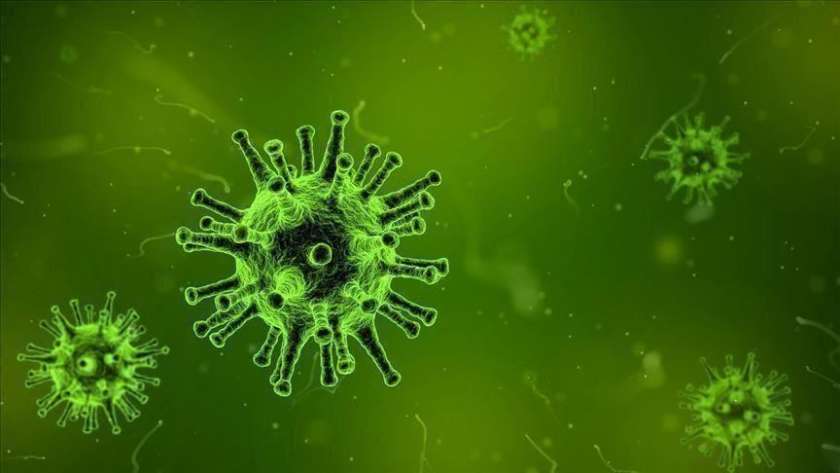 عاجل..أول حالة وفاة بسبب فيروس كورونا في العاصمة الأمريكية