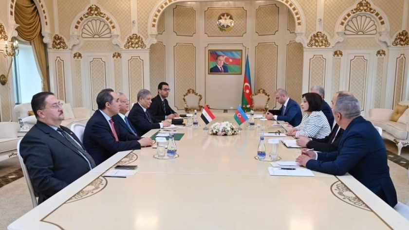 لقاء حنفي جبالي يلتقي رئيسة برلمان أذربيجان