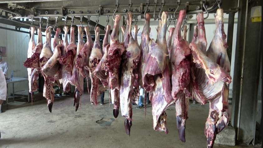 أسعار اللحوم القائم اليوم في الأسواق