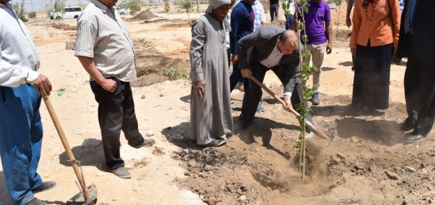 رئيس جامعة سوهاج يزرع أشجار التوت بالحرم الجديد