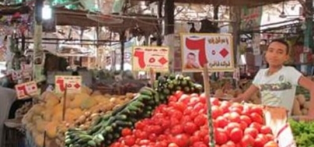 المشروع يهدف إلى القضاء على الاحتكار فى سوق الخضراوات والفاكهة ومحاربة الغلاء