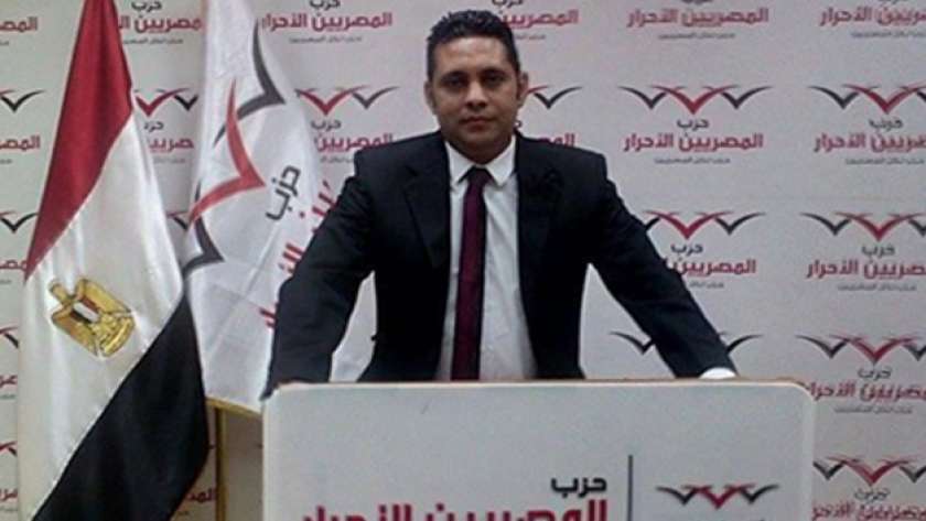 أحمد العناني، عضو المجلس المصري للشئون الخارجية