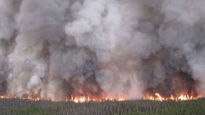 حرائق الغابات تخلف خسائر واسعة في هاواي