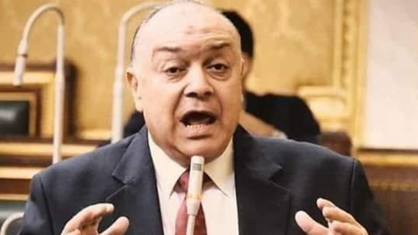 النائب وحيد قرقر وكيل لجنة النقل بمجلس النواب