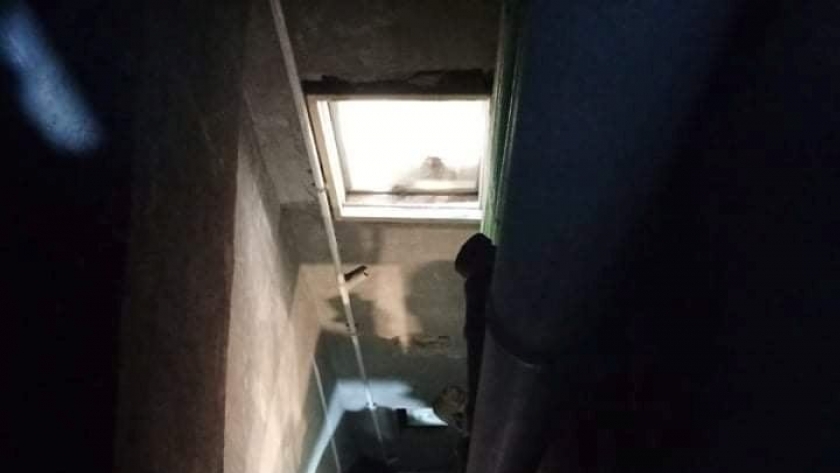 الحماية المدنية تنقذ قطة سقطت في منور برج سكني بالفيوم