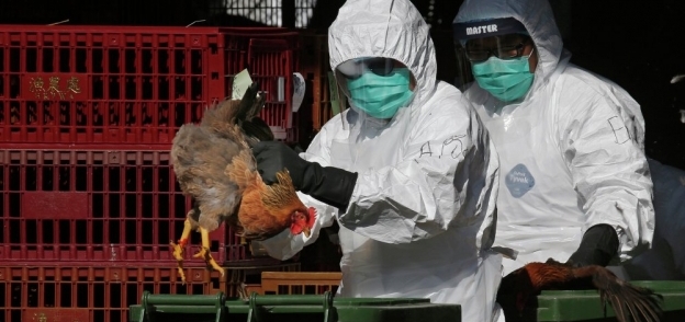 تفشي فيروس إنفلونزا الطيور في الهند يفاقم مخاوف العالم
