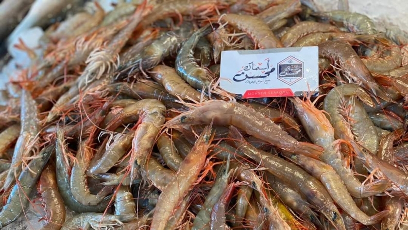 أسعار السمك اليوم ببورسعيد