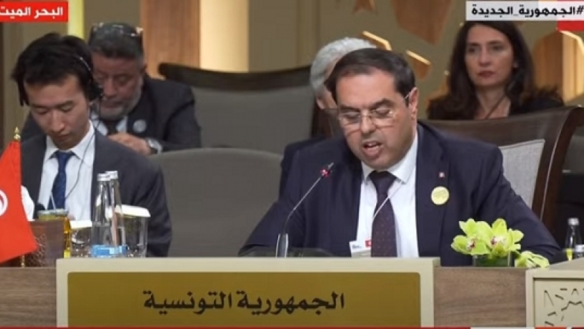 وزير الخارجية التونسي منير بن رجيبة