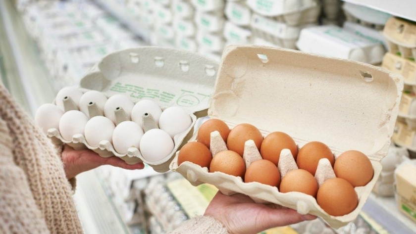 استقرار سعر البيض في السوق - تعبيرية