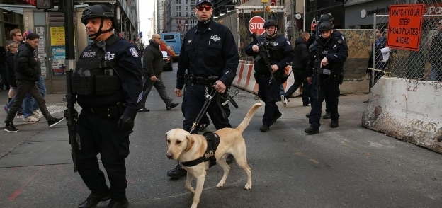 شرطة نيويورك