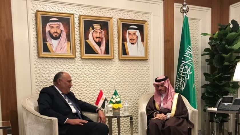 وزير الخارجية السعودي فيصل بن فرحان مع وزير الخارجية سامح شكري
