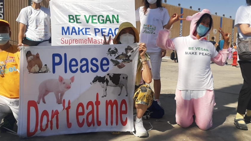 تظاهرات في مؤتمر المناخ.. ونشطاء بيئيون: «أوقفوا قتل الحيوانات»