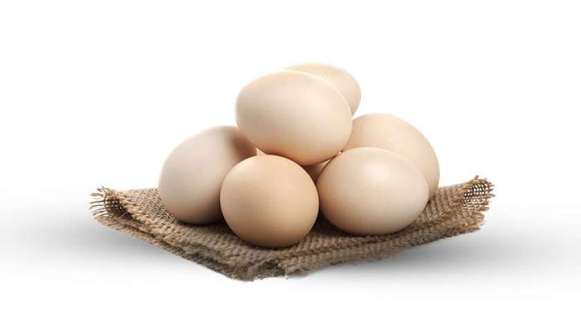 سعر البيض الأورجانيك فى الأسواق