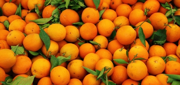 البرتقال المصري