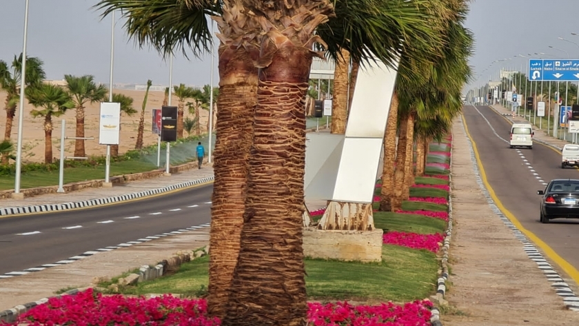 التصميم والتطوير الخاص بطرق مدينة شرم الشيخ