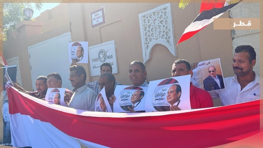 احتفالات المصرييين بالتصويت في الخارج