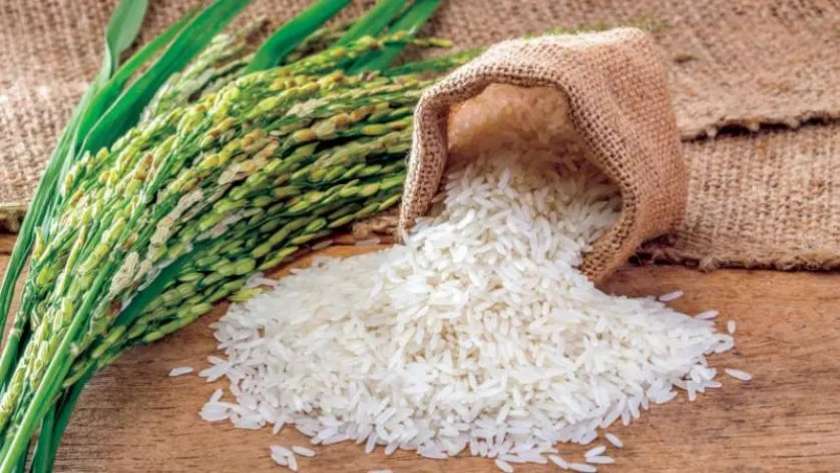 ارتفاع أسعار الأرز