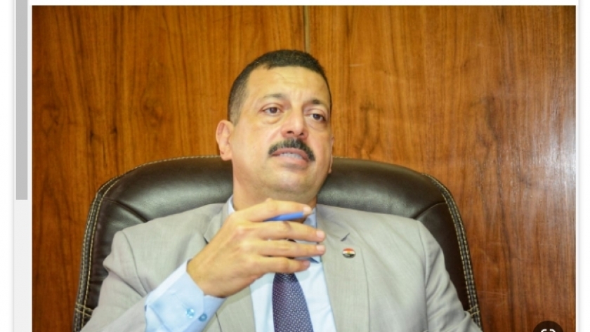 الدكتور أيمن حمزة - المتحدث باسم وزارة الكهرباء والطاقة المتجددة