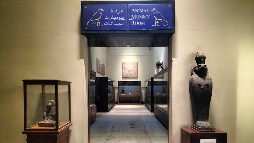 غرفة تحنيط الحيوانات بالمتحف المصري