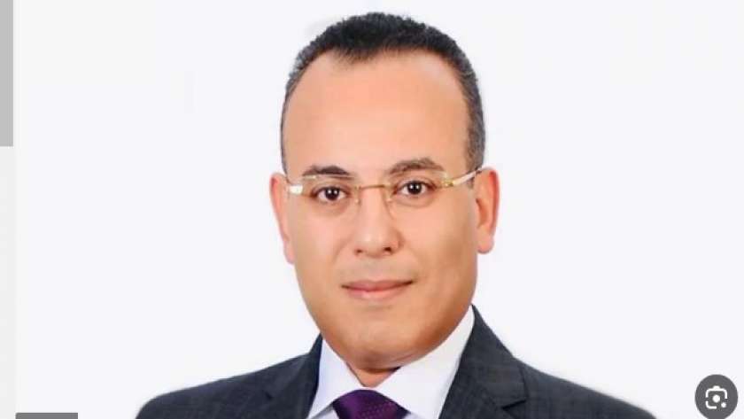 المتحدث الرسمي باسم رئاسة الجمهورية المستشار أحمد فهمي