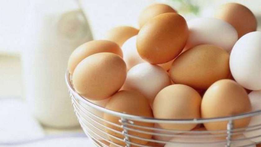 سعر كرتونة البيض في المحلات والاسواق