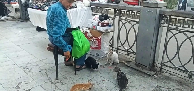 عم سعيد يطعم القطط بعد آذان المغرب