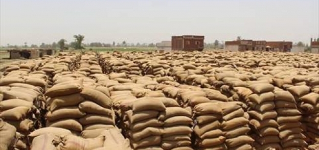 مديريات الزراعة والتموين بالمحافظات تواصل فتح المزيد من الشون الترابية لتخزين القمح