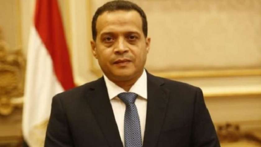 خالد أبو الوفا عضو مجلس الشيوخ