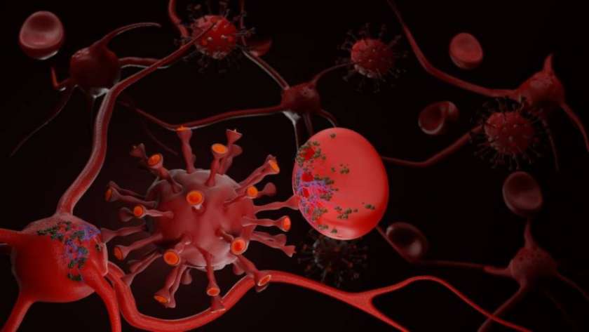 صورة لمهاجمة الإيدز لجهاز المناعة- صورة أرشيفية