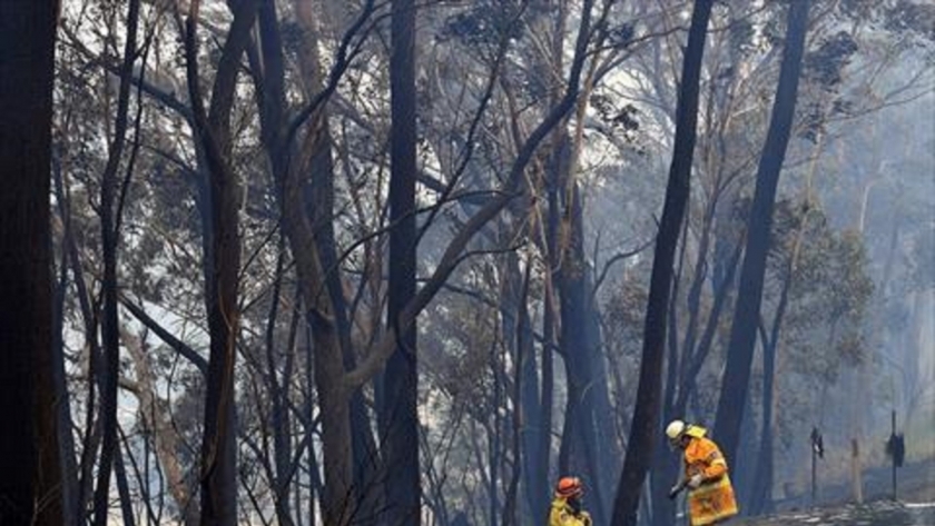حرائق الغابات فى استراليا