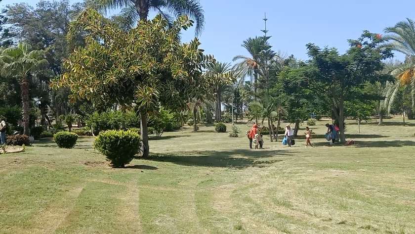 حدائق المنتزه