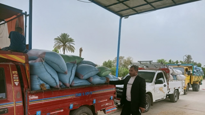 توريد القمح في محافظة الشرقية