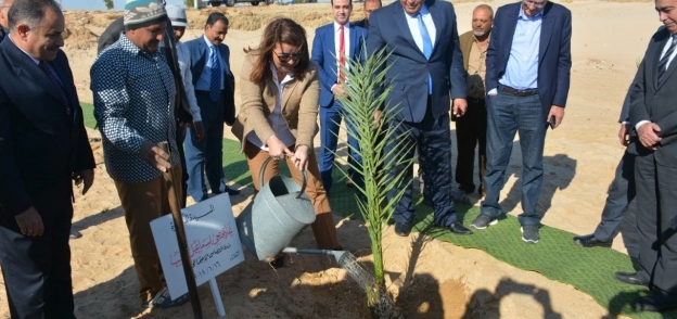 وزيرة التضامن تزرع شجرة