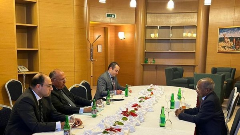 سامح شكري يعقد جلسة مباحثات مع وزير خارجية إريتريا