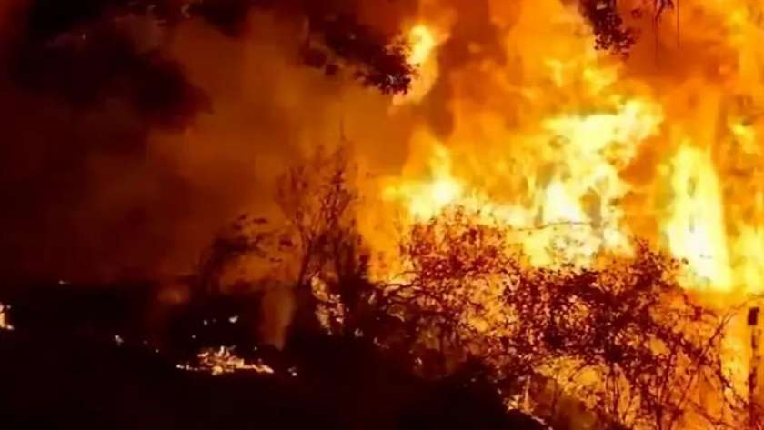 حرائق الغابات مستمرة في اليونان
