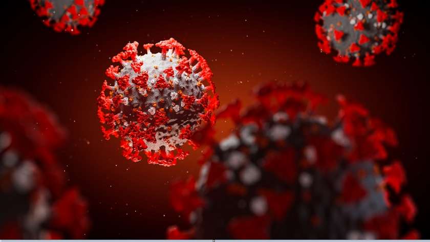 الصحة العالمية تواصل التقصى حول مصير فيروس كورونا