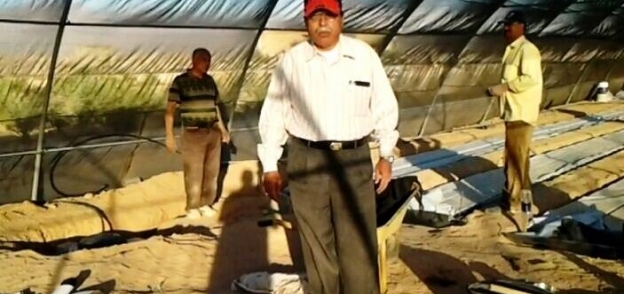 توفير شتلات زراعية بأسعار رمزية لمزارعى جنوب سيناء