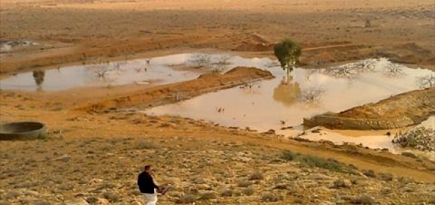 الأمطار تغرق صحراء مطروح..وشيوخ القبائل: التين والزيتون كان عطشان