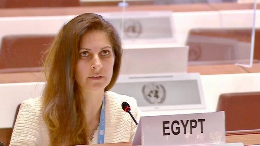 المرافعة المصرية في محكمة العدل الدولية