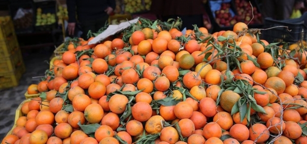 استقرار أسعار الفاكهة في الأسواق "أرشيفية"