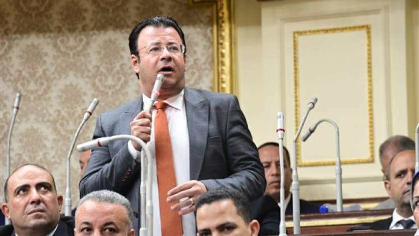 محمود البرعي - عضو مجلس النواب