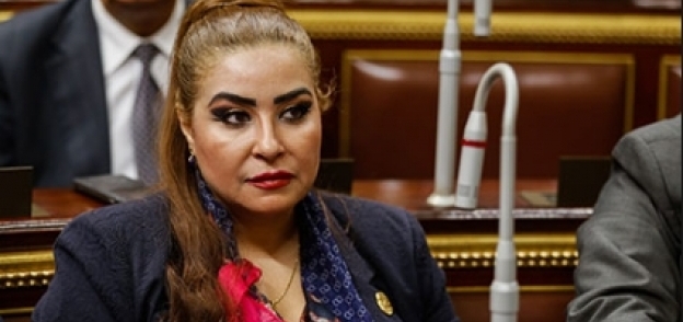 غادة عجمي عضو مجلس النواب