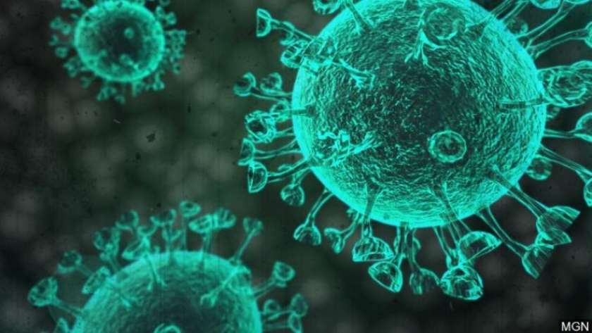 سلالة جديدة لفيروس كورونا تظهر في الفلبين