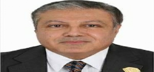 الدكتورهشام عزمي، رئيس مجلس ادارة دار الكتب والوثائق القومية