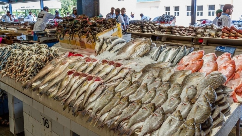 الأسماك في الأسواق - صورة أرشيفية