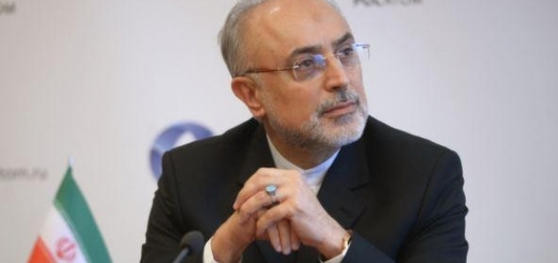 رئيس هيئة الطاقة الذرية الإيرانية علي أكبر صالحي
