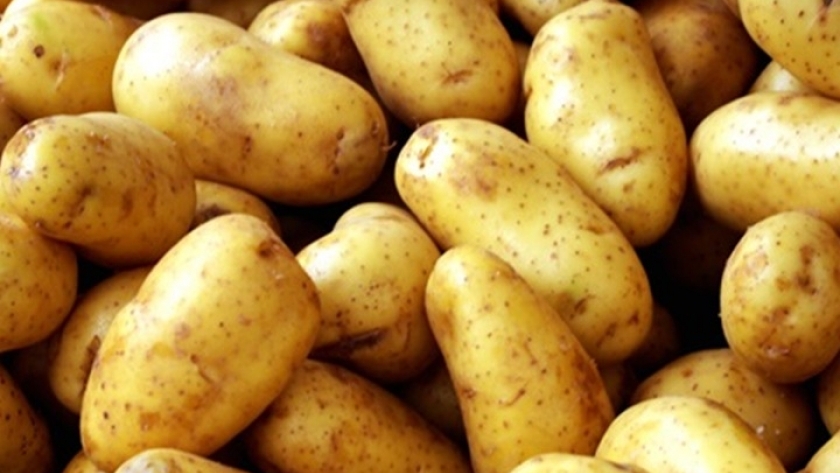 البطاطس .. صورة أرشيفية